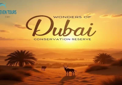 Discover the Wonders of Dubai Desert Conservation Reserve